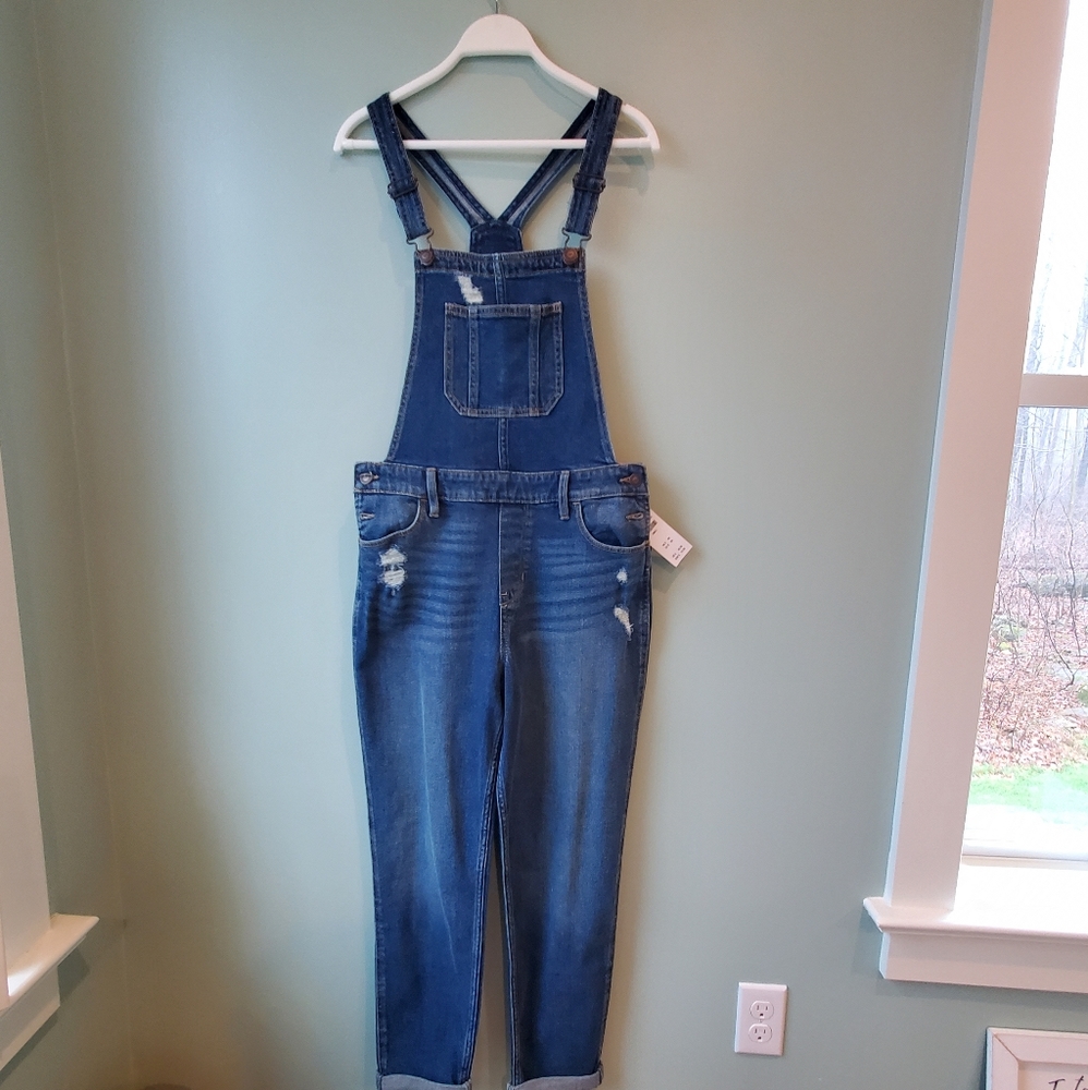 Hollister Jean Bibs